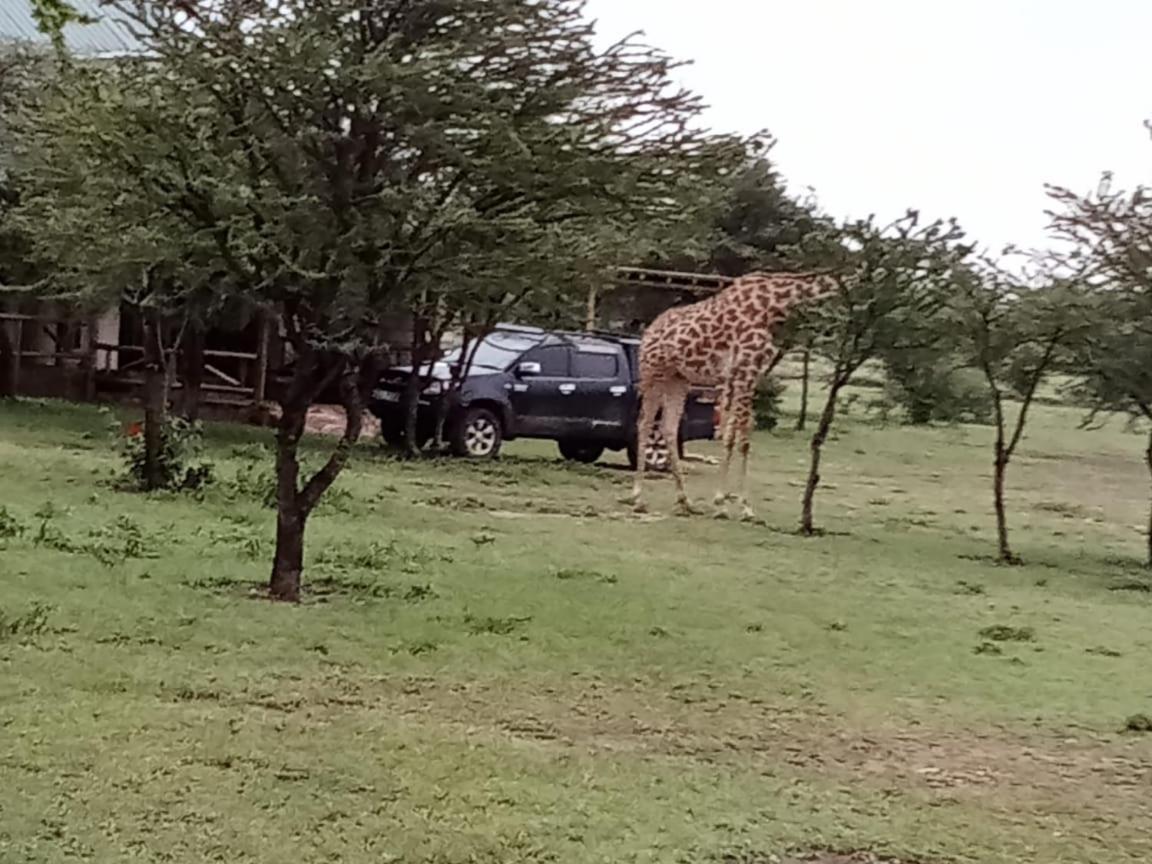 Narasha Homestay - Maasai Mara Talek Exterior foto