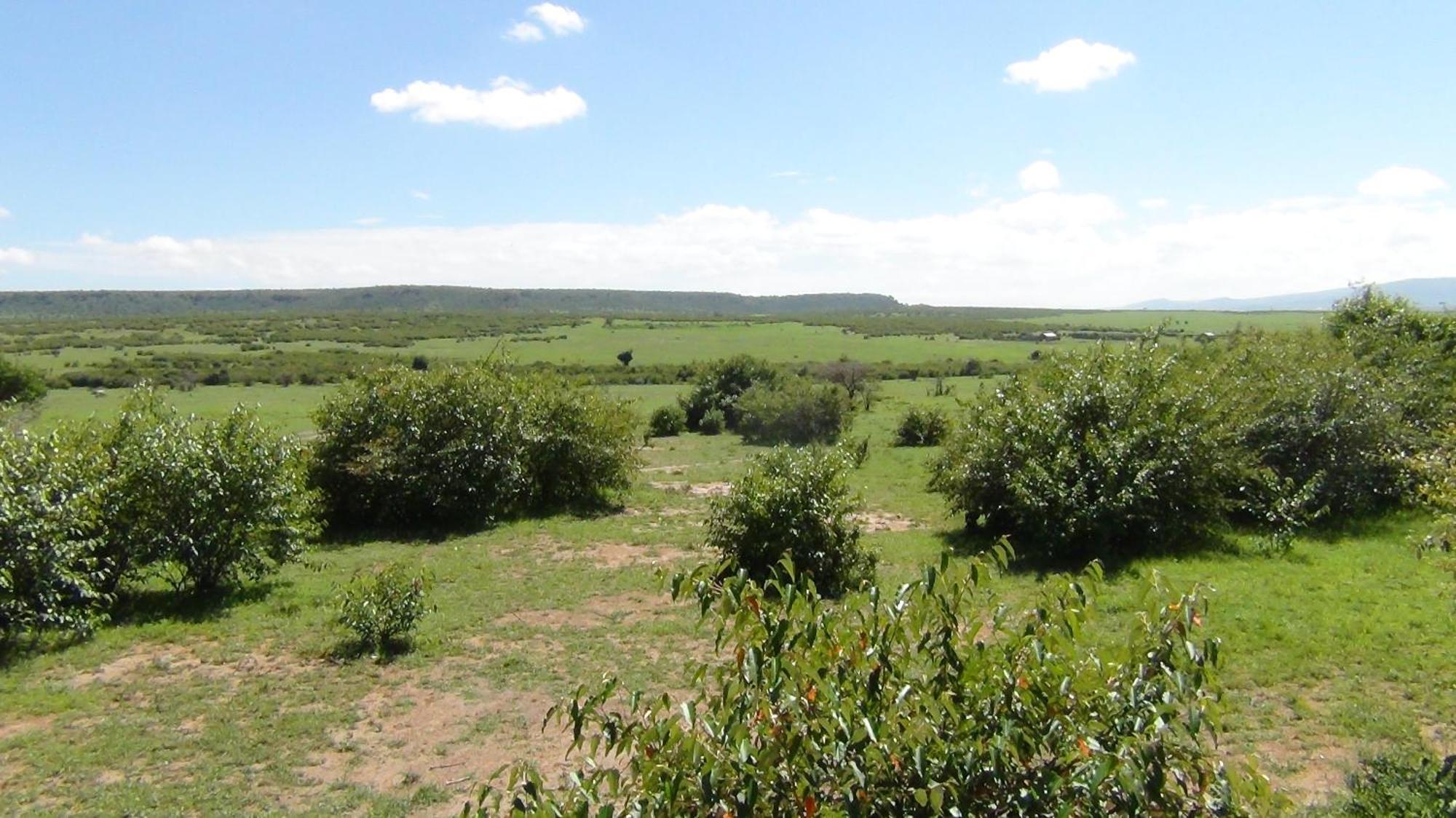 Narasha Homestay - Maasai Mara Talek Quarto foto