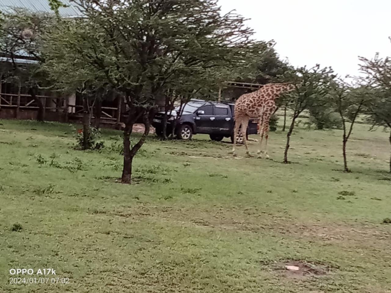 Narasha Homestay - Maasai Mara Talek Quarto foto