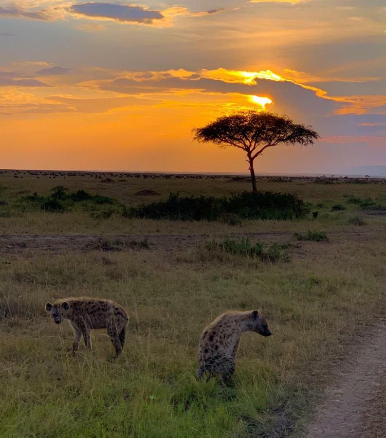 Narasha Homestay - Maasai Mara Talek Exterior foto